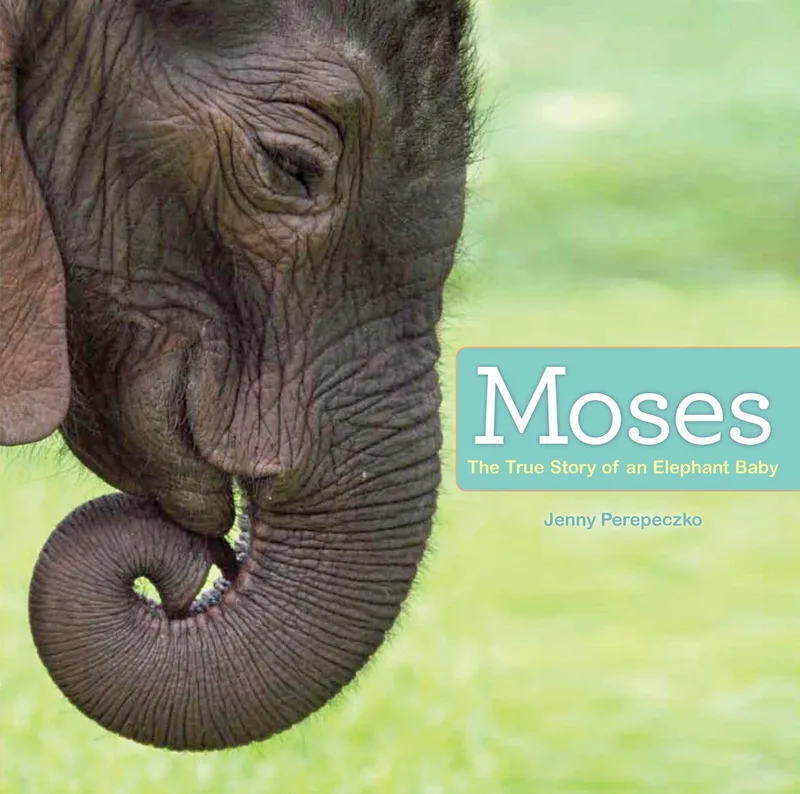 Moses fra Atheneum – billede af bogen