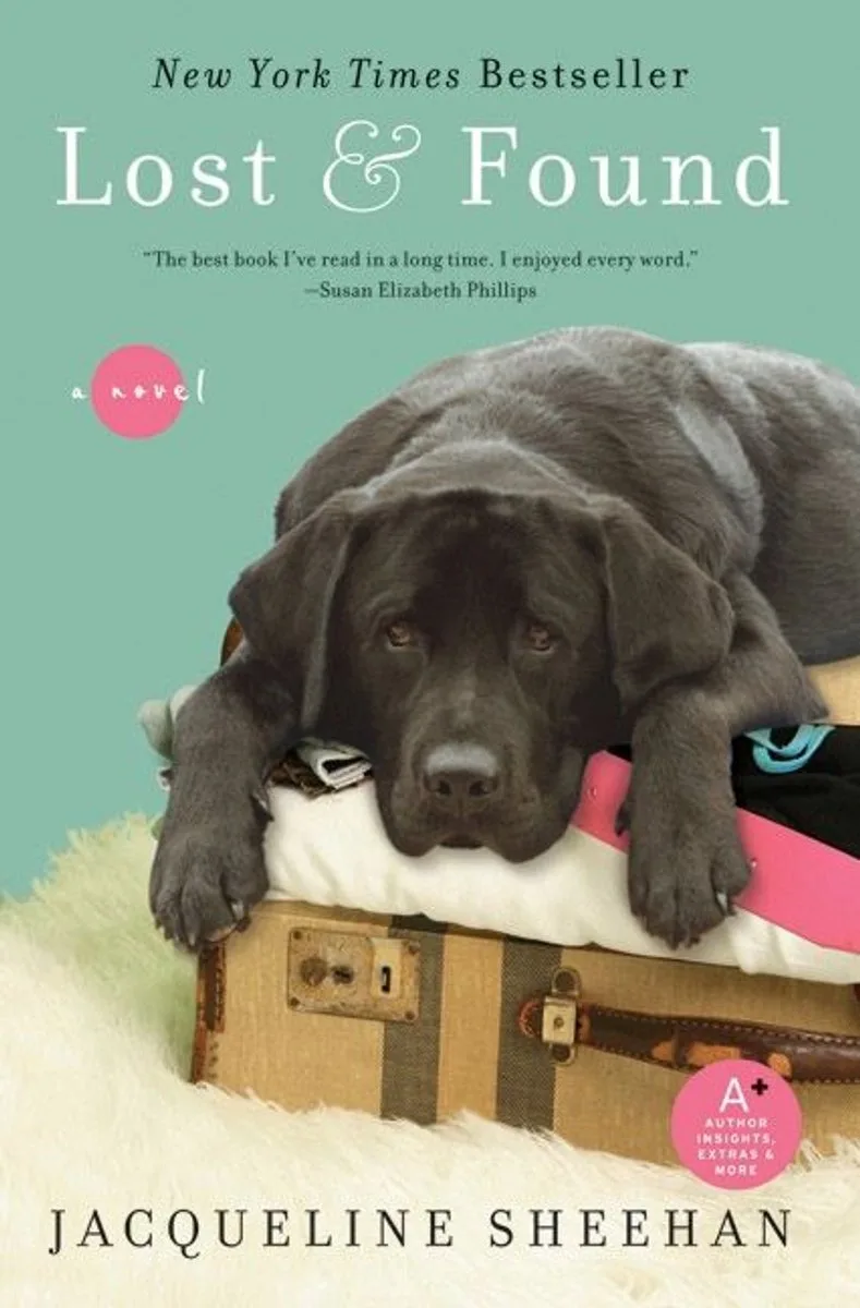 Lost and Found de Avon – photo du livre
