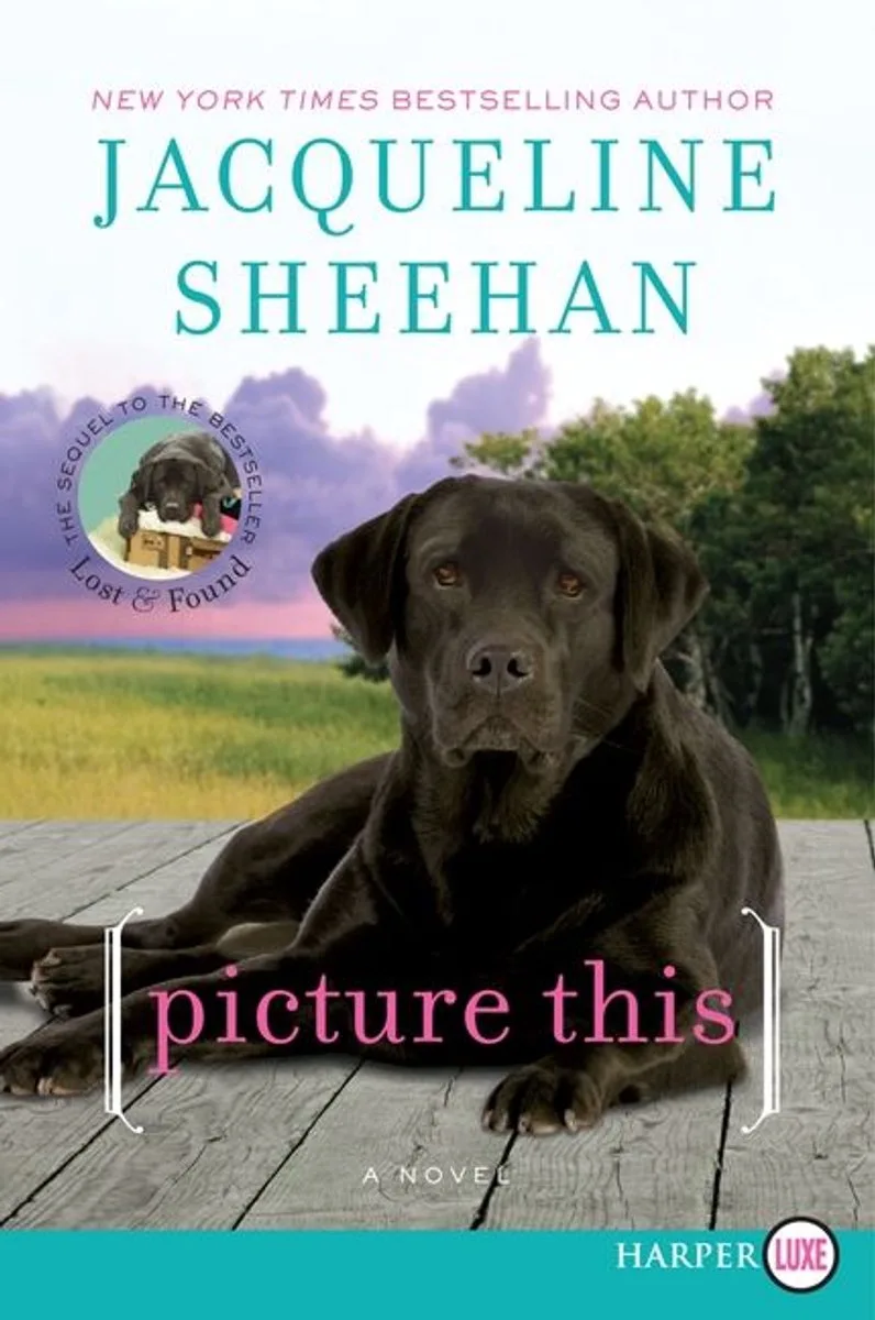 Picture This von Avon – Buchfoto