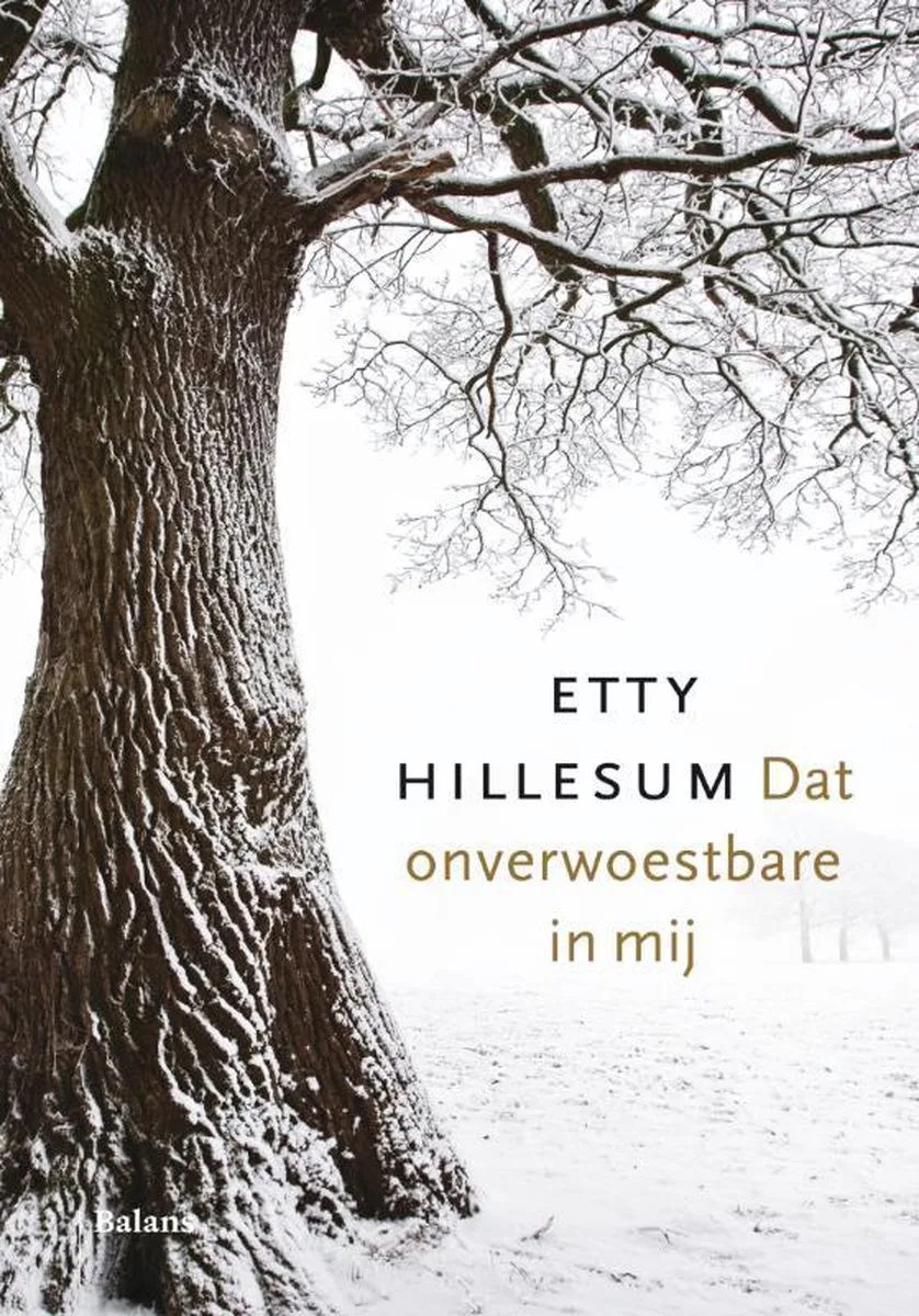 Dat onverwoestbare in mij von Balans – Buchfoto