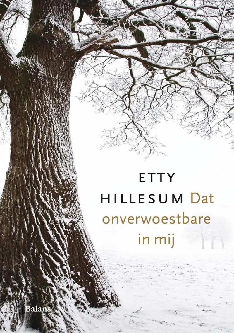 Dat onverwoestbare in mij von Balans – Buchfoto