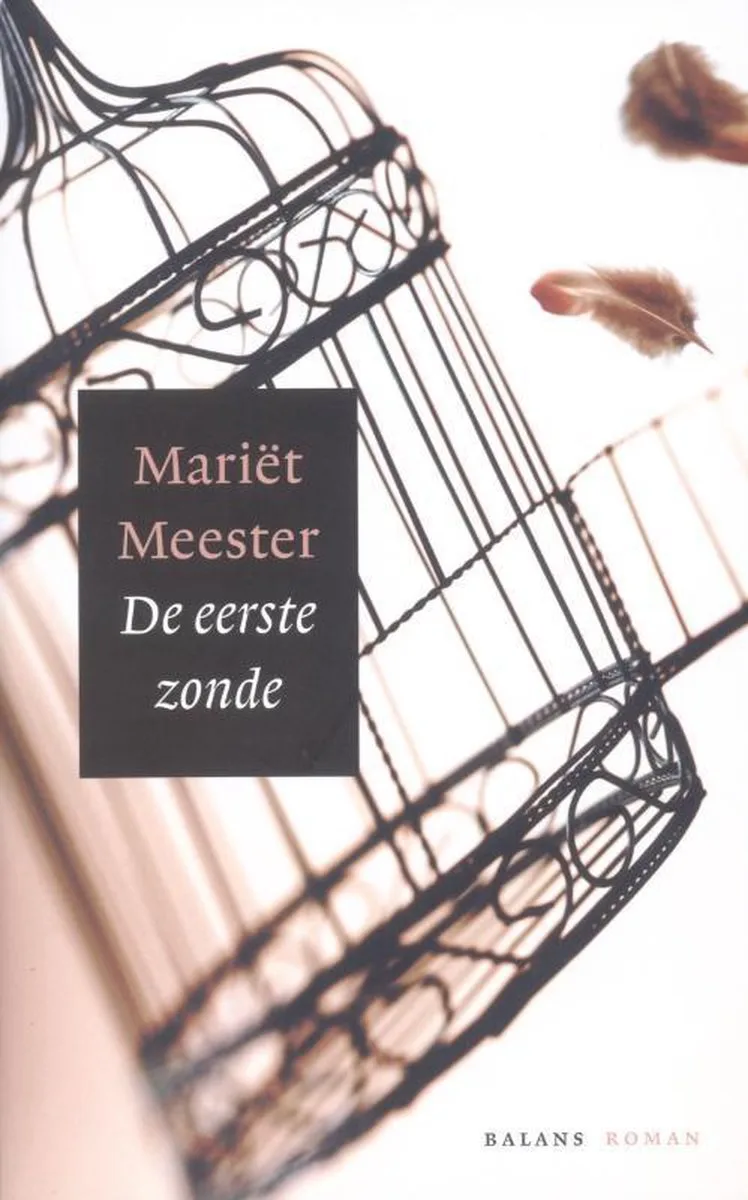 De eerste zonde von Balans – Buchfoto