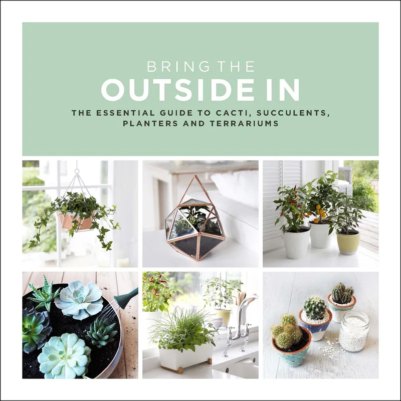 Bring The Outside In von Bantam – Buchfoto