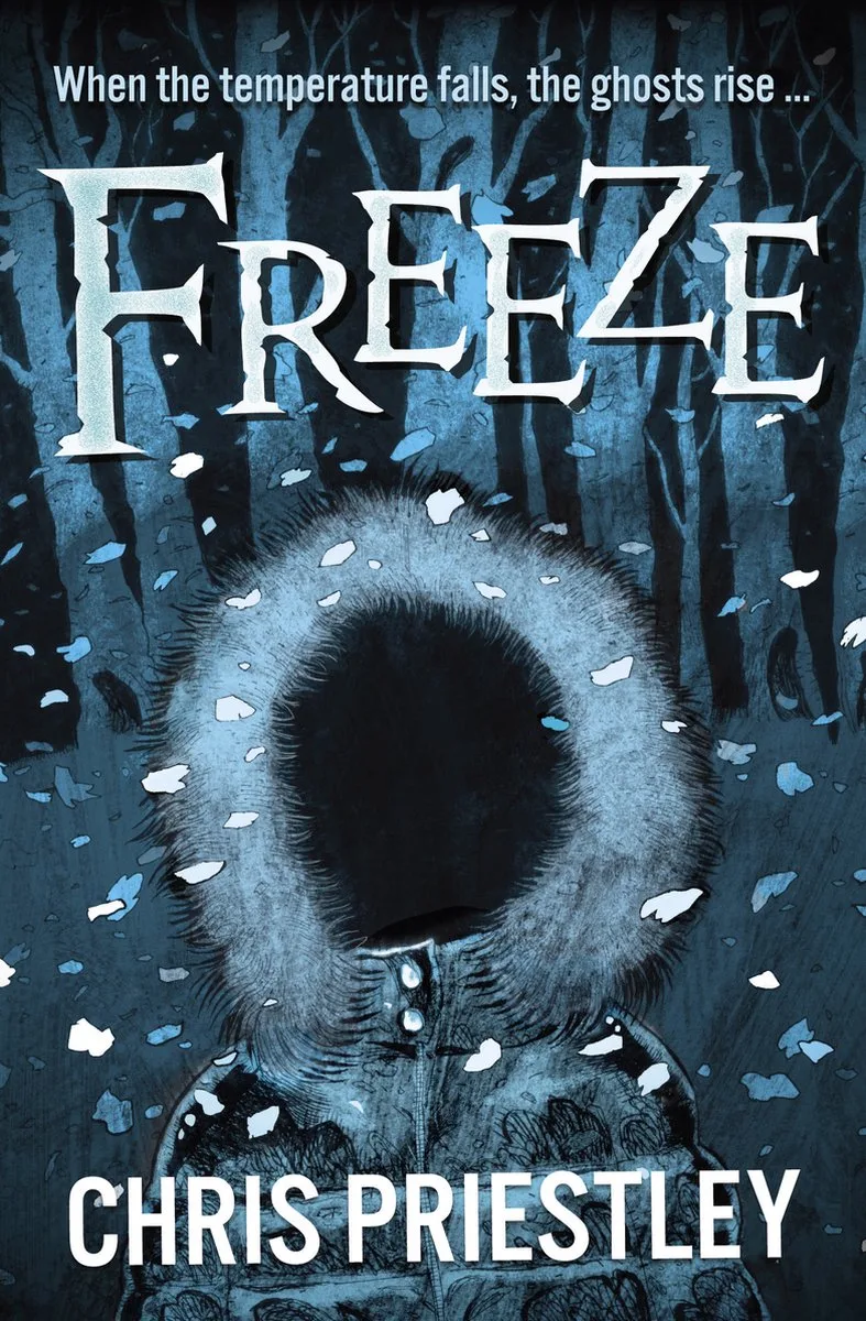 Freeze von Barrington Stoke – Buchfoto