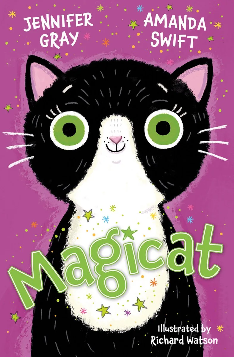 Magicat fra Barrington Stoke – billede af bogen