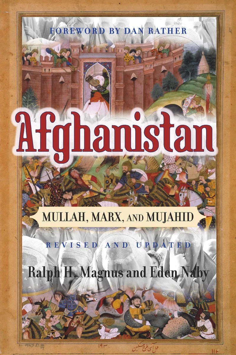 Afghanistan von Basic Books – Buchfoto