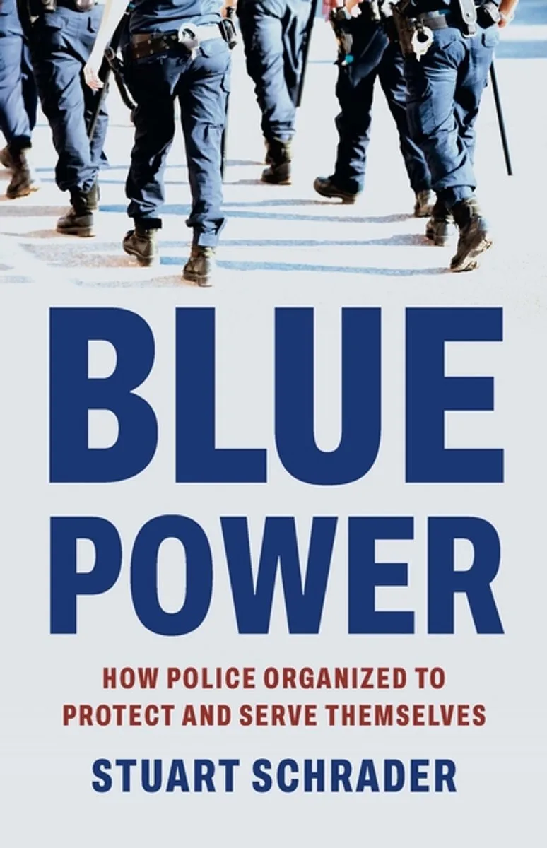 Blue Power van Basic Books – boekfoto