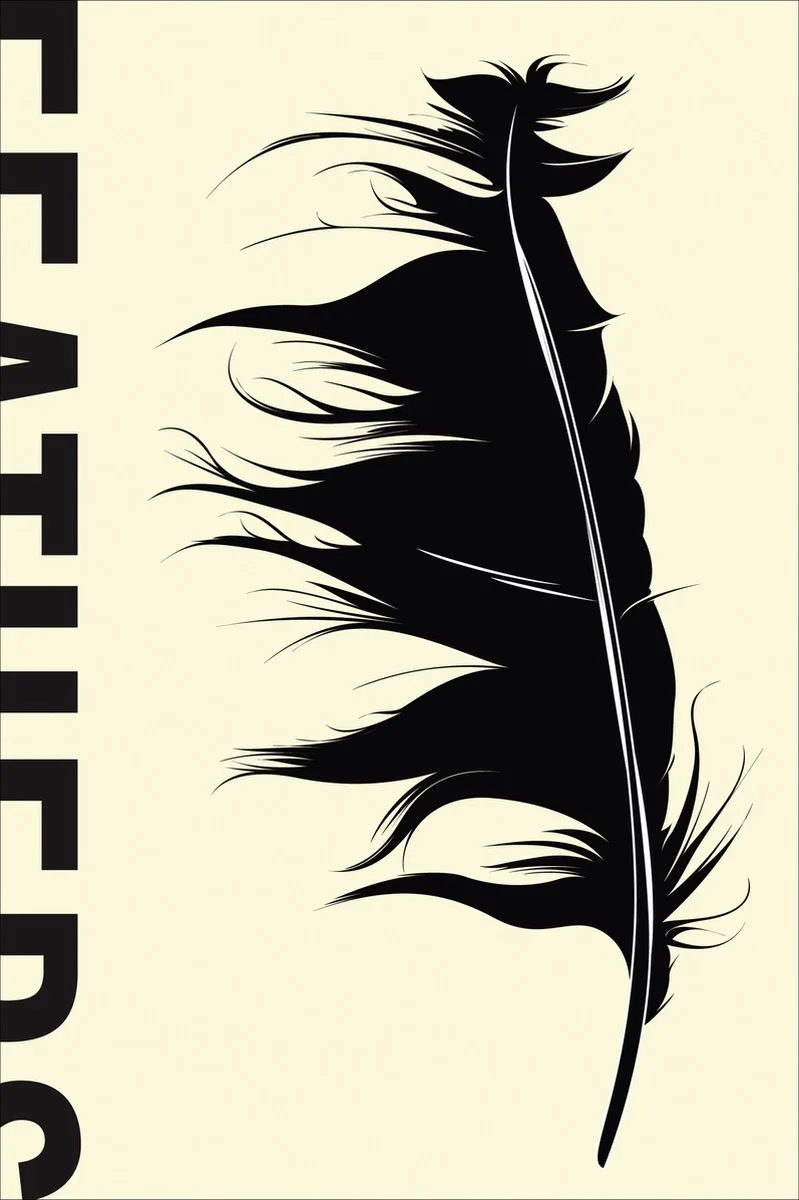 Feathers von Basic Books – Buchfoto