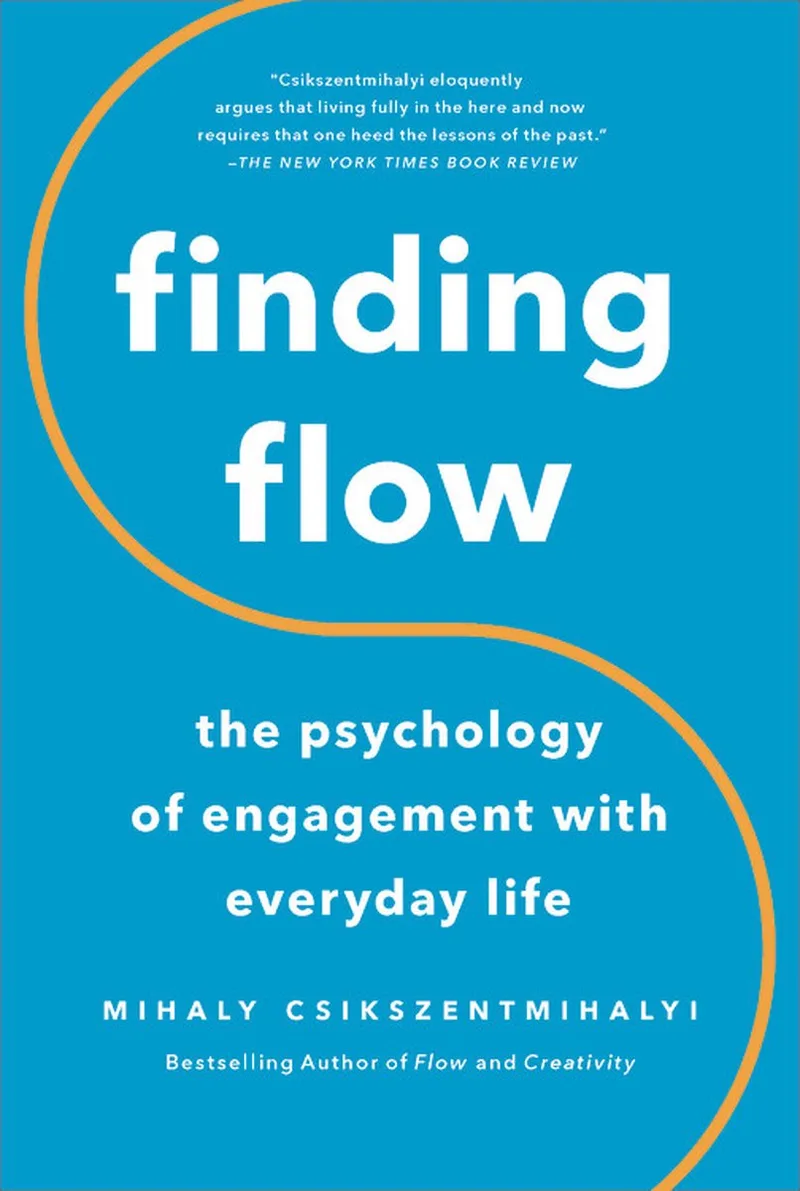 Finding Flow de Basic Books – photo du livre
