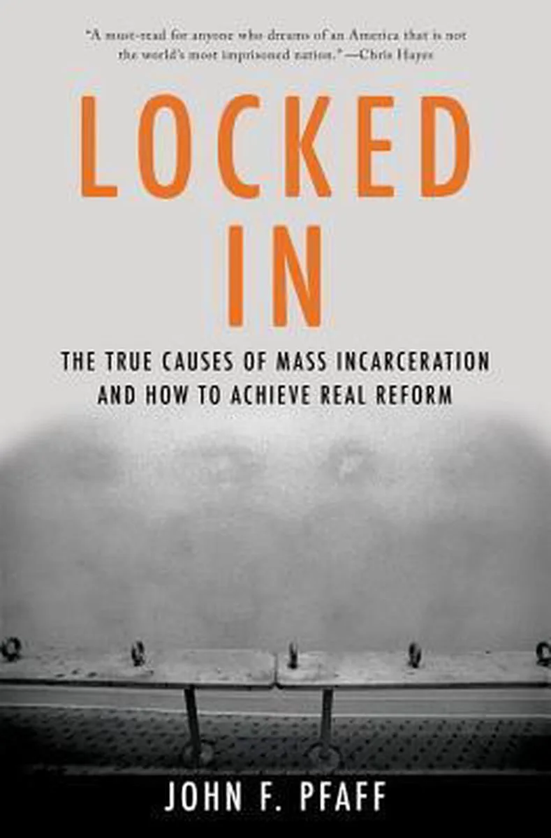 Locked In de Basic Books – photo du livre