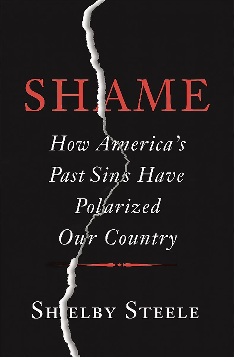 Shame van Basic Books – boekfoto