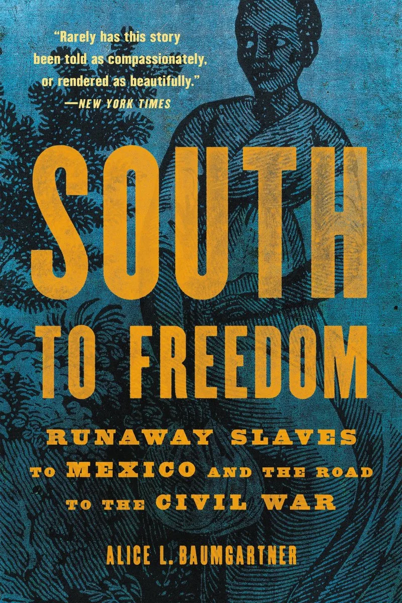 South to Freedom von Basic Books – Buchfoto