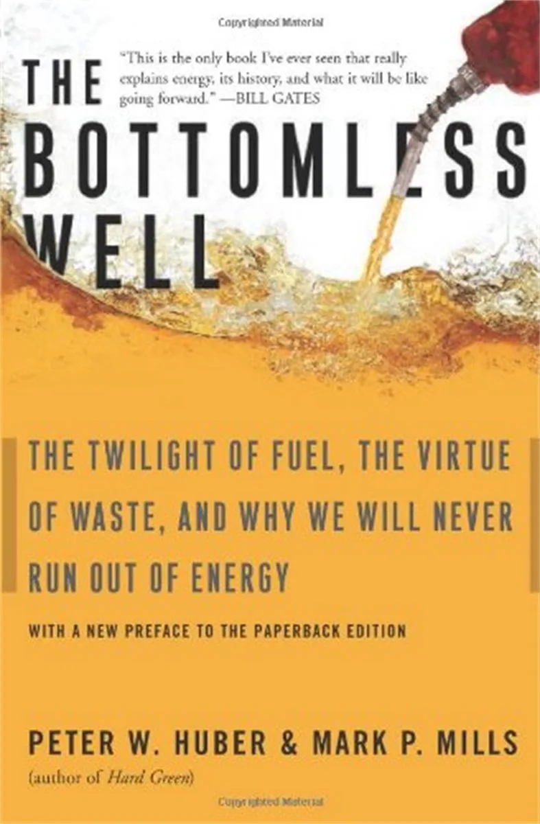 The Bottomless Well fra Basic Books – billede af bogen