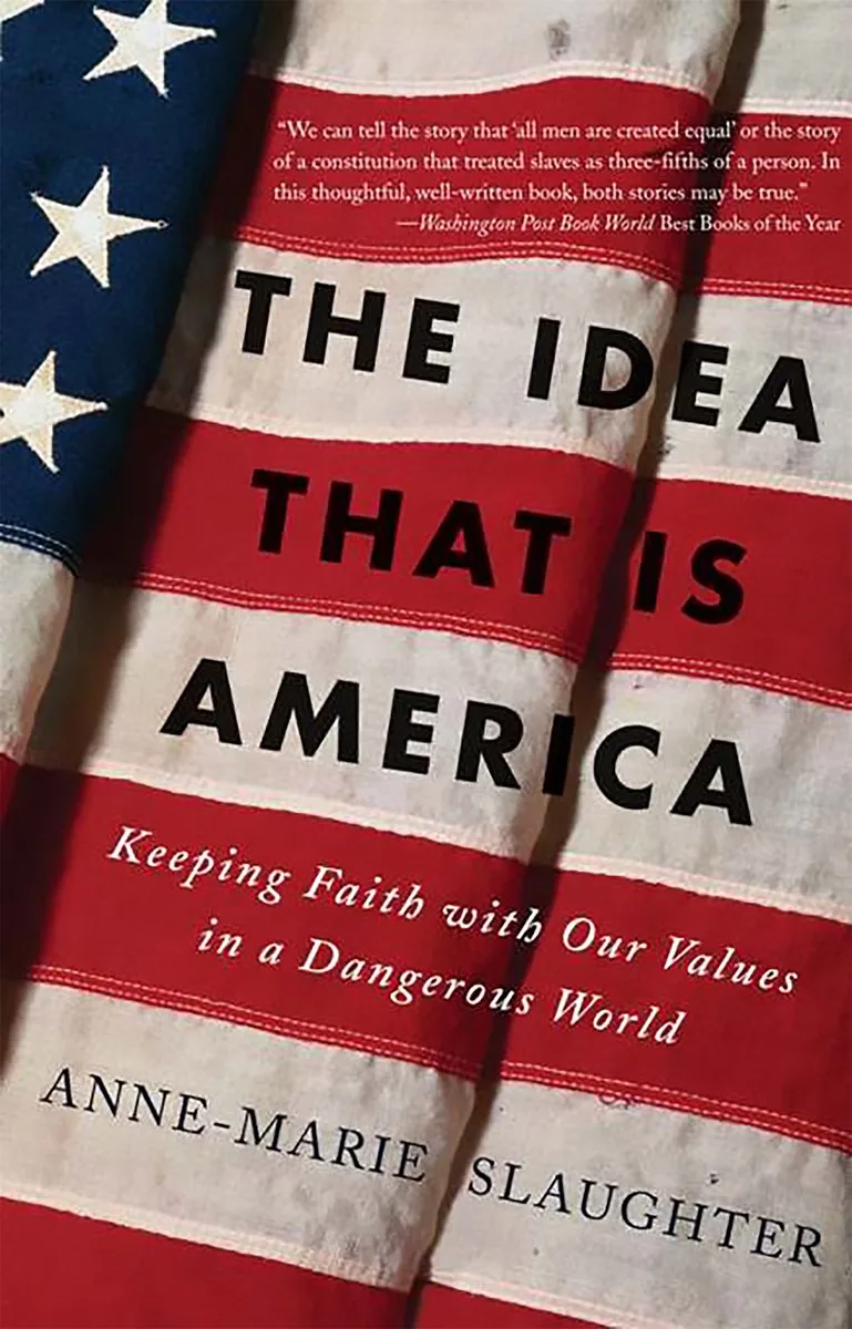 The Idea That Is America von Basic Books – Buchfoto