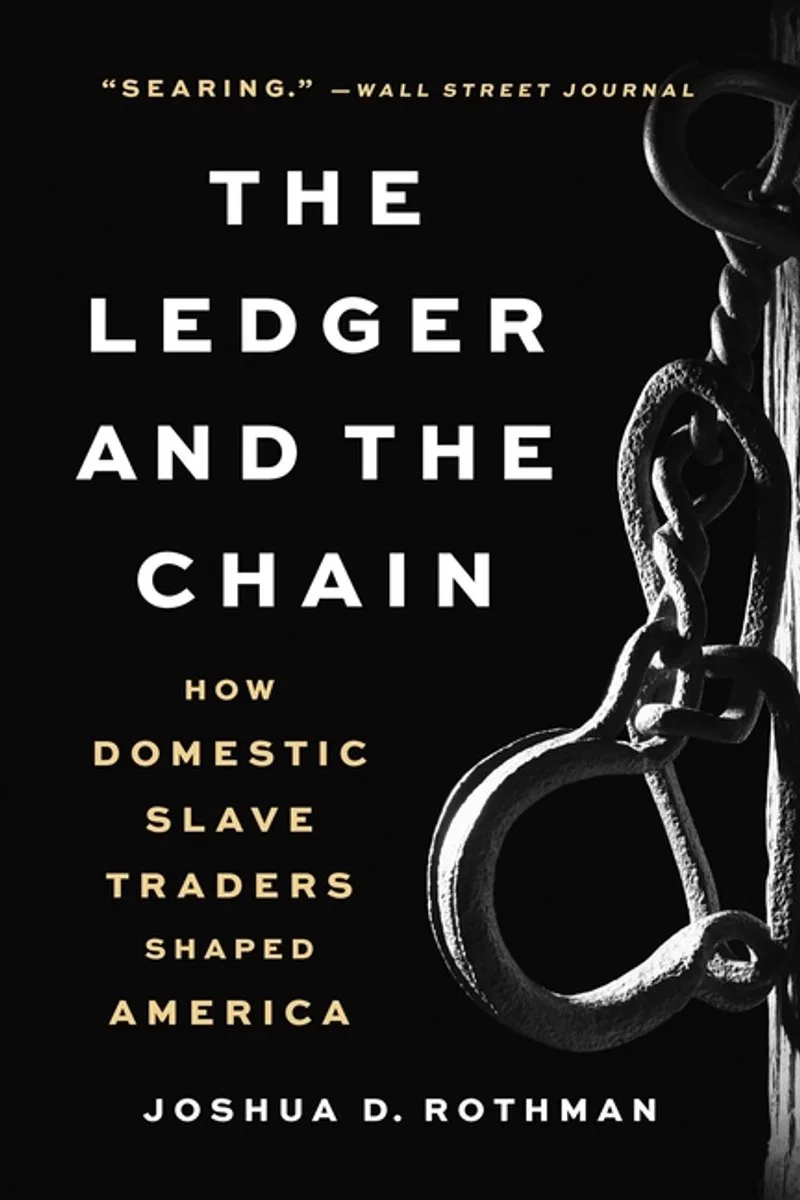 The Ledger and the Chain von Basic Books – Buchfoto