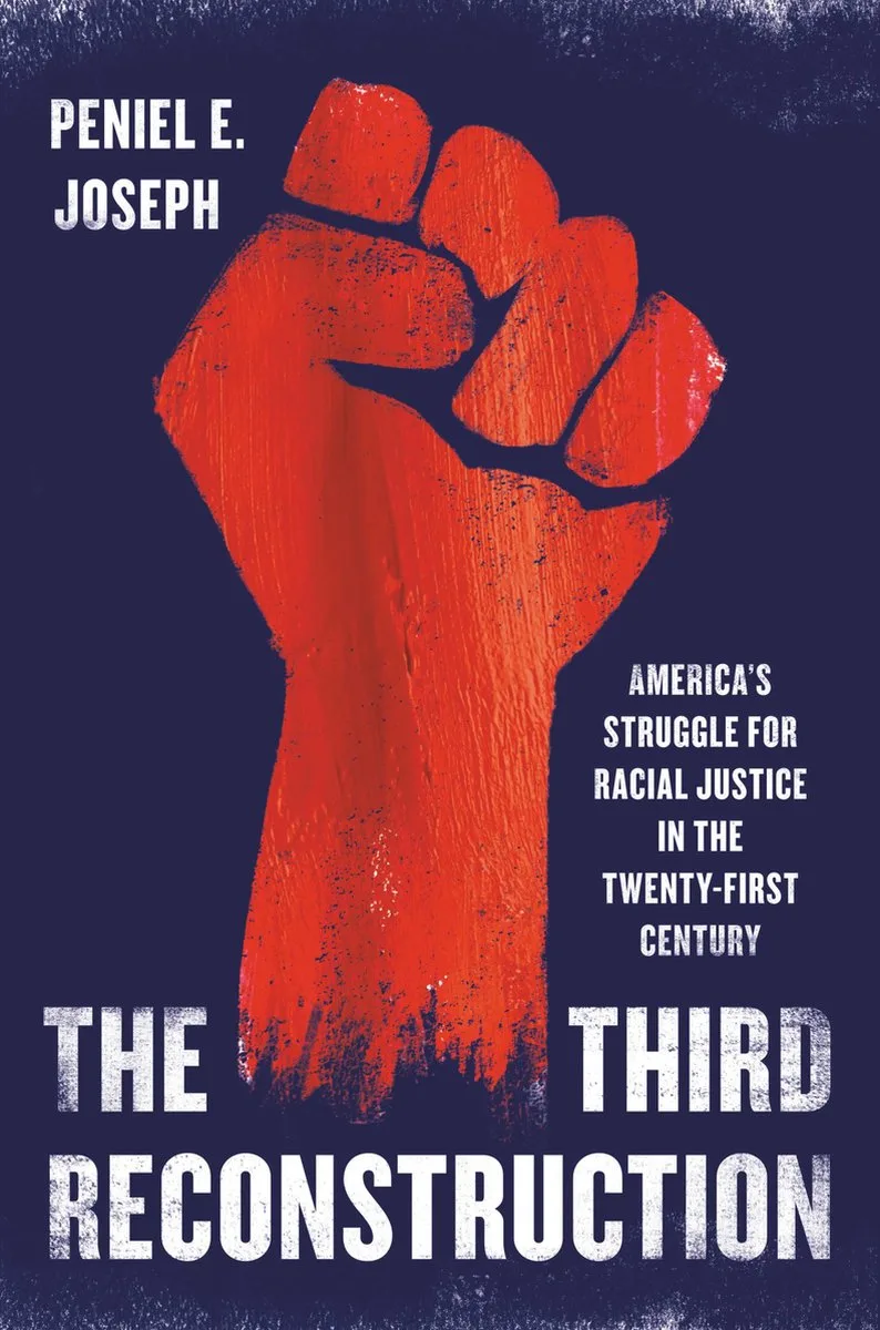 The Third Reconstruction de Basic Books – photo du livre