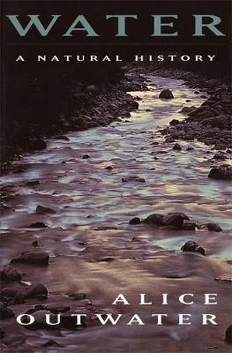 Water de Basic Books – photo du livre