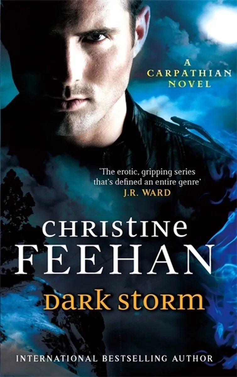 Dark Storm von Berkley – Buchfoto