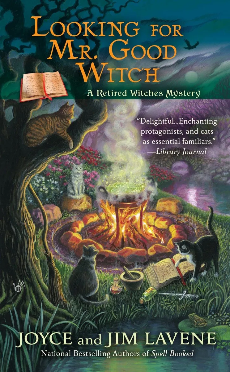 Looking for Mr. Good Witch fra Berkley – billede af bogen