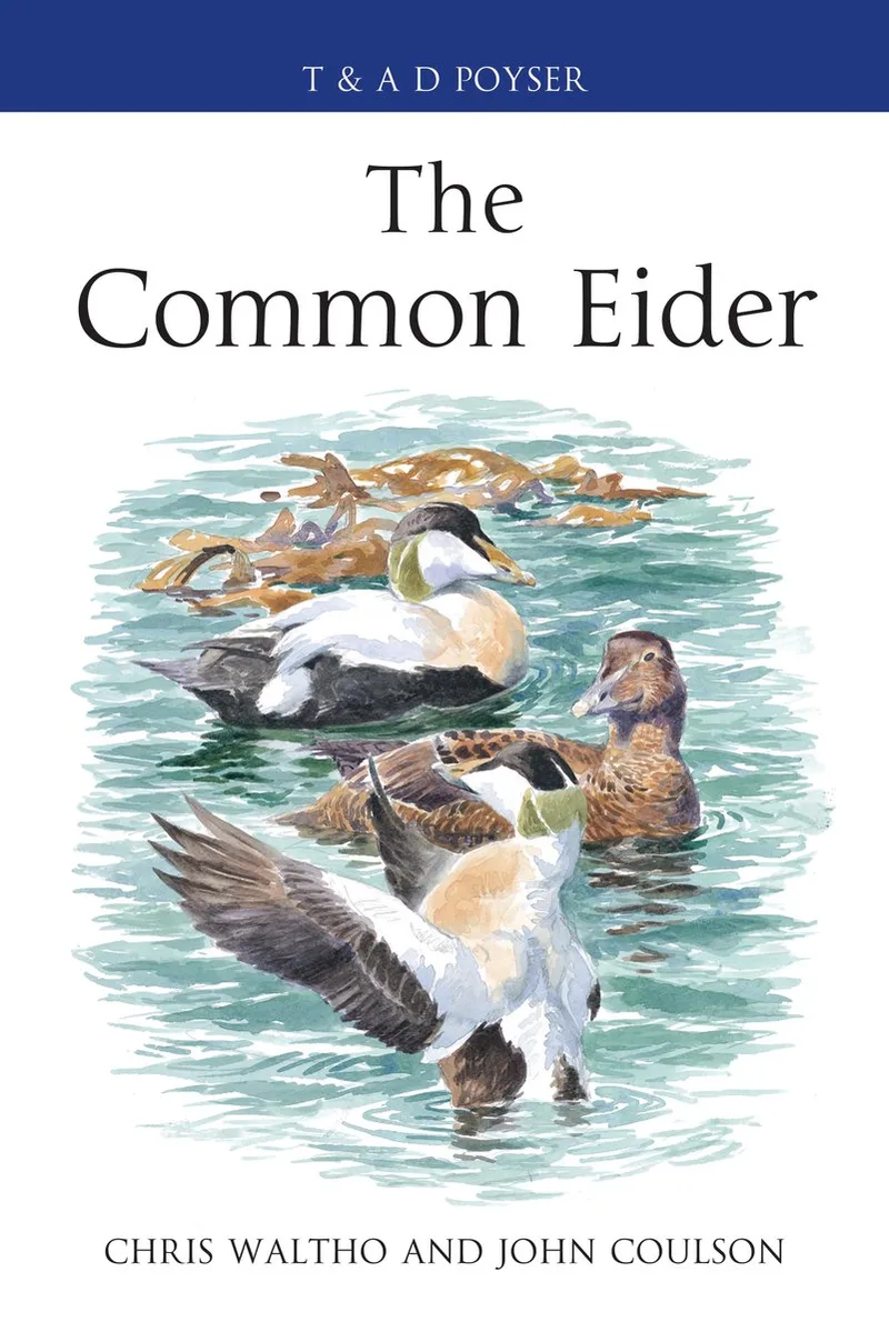 Common Eider fra Bloomsbury – billede af bogen