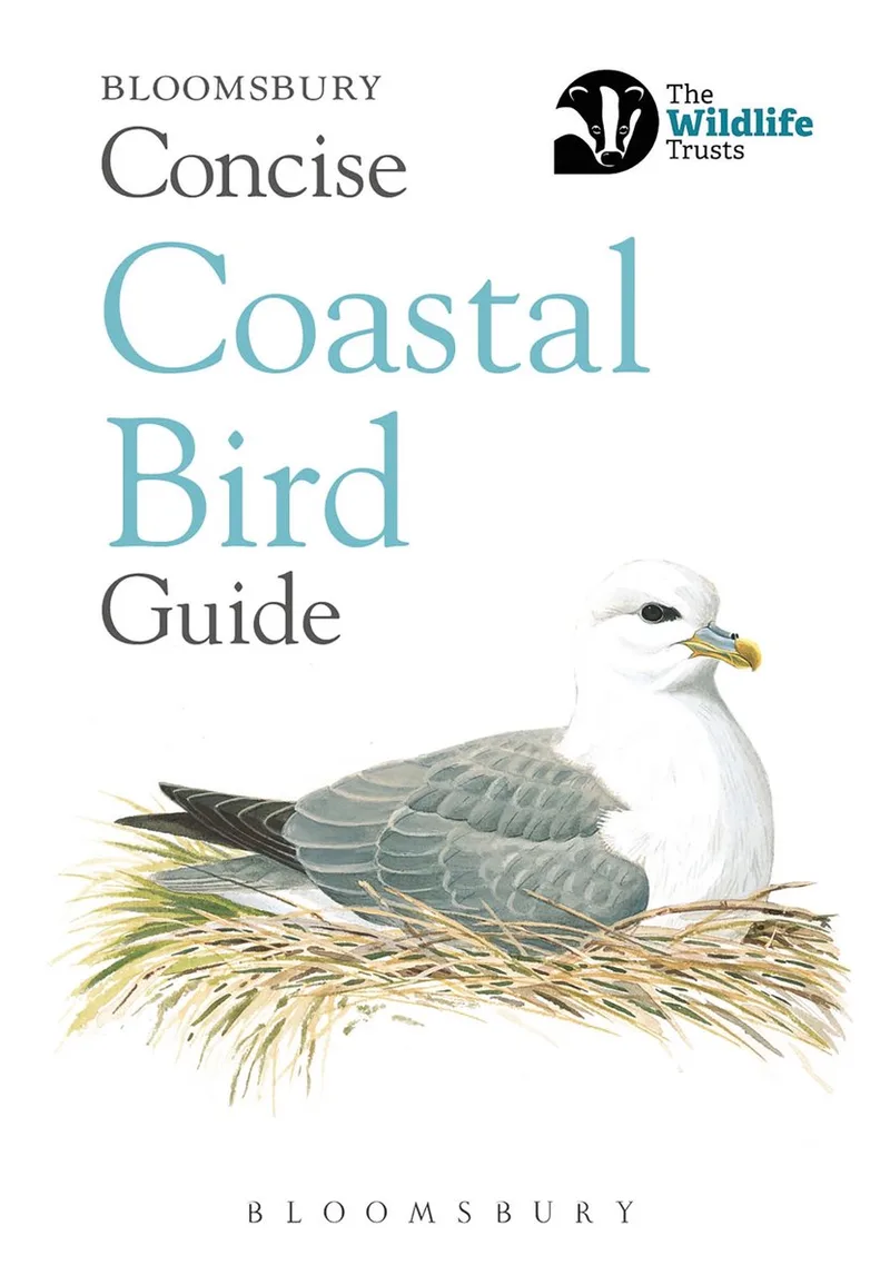 Concise Coastal Bird Guide von Bloomsbury – Buchfoto