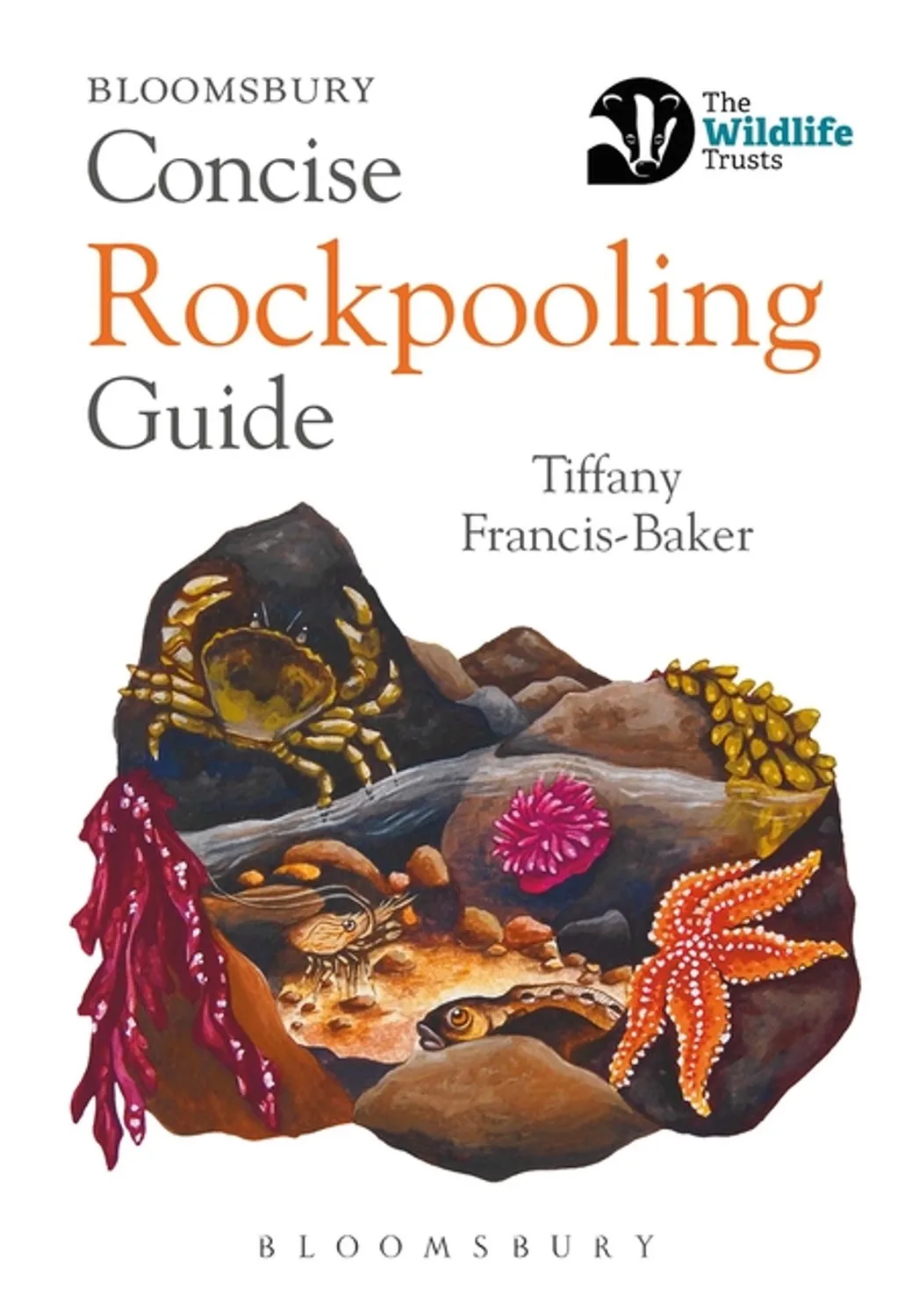 Concise Rockpooling Guide van Bloomsbury – boekfoto