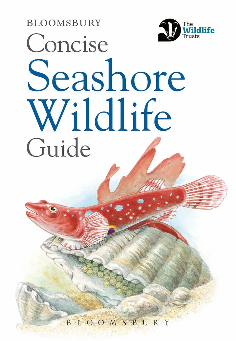 Concise Seashore Wildlife Guide von Bloomsbury – Buchfoto