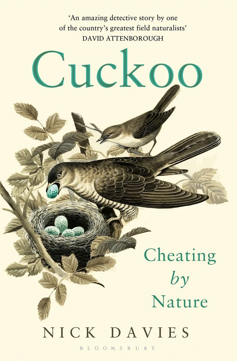 Cuckoo von Bloomsbury – Buchfoto