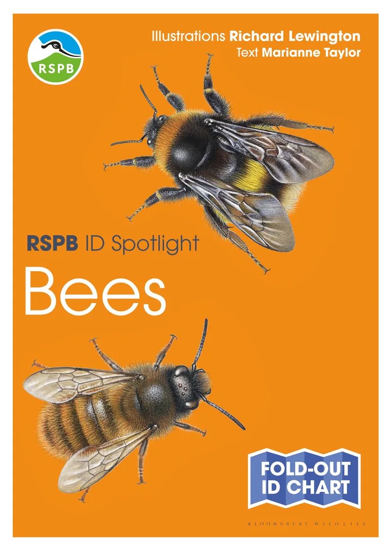 RSPB ID Spotlight Bees von Bloomsbury – Buchfoto