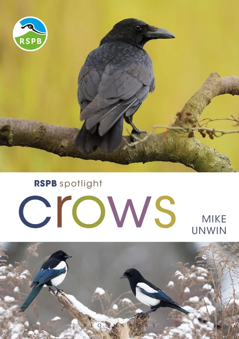 RSPB Spotlight Crows von Bloomsbury – Buchfoto