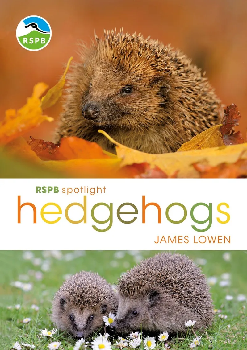 RSPB Spotlight Hedgehogs von Bloomsbury – Buchfoto