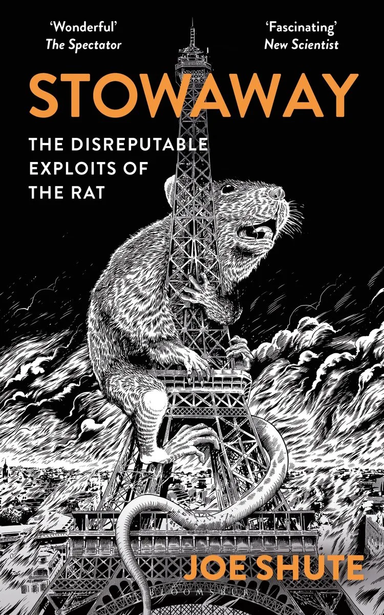Stowaway von Bloomsbury – Buchfoto