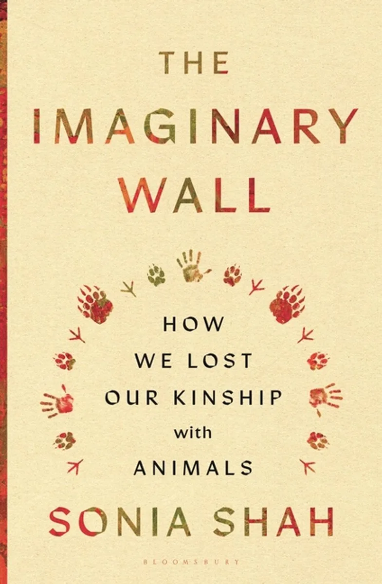 The Imaginary Wall von Bloomsbury – Buchfoto