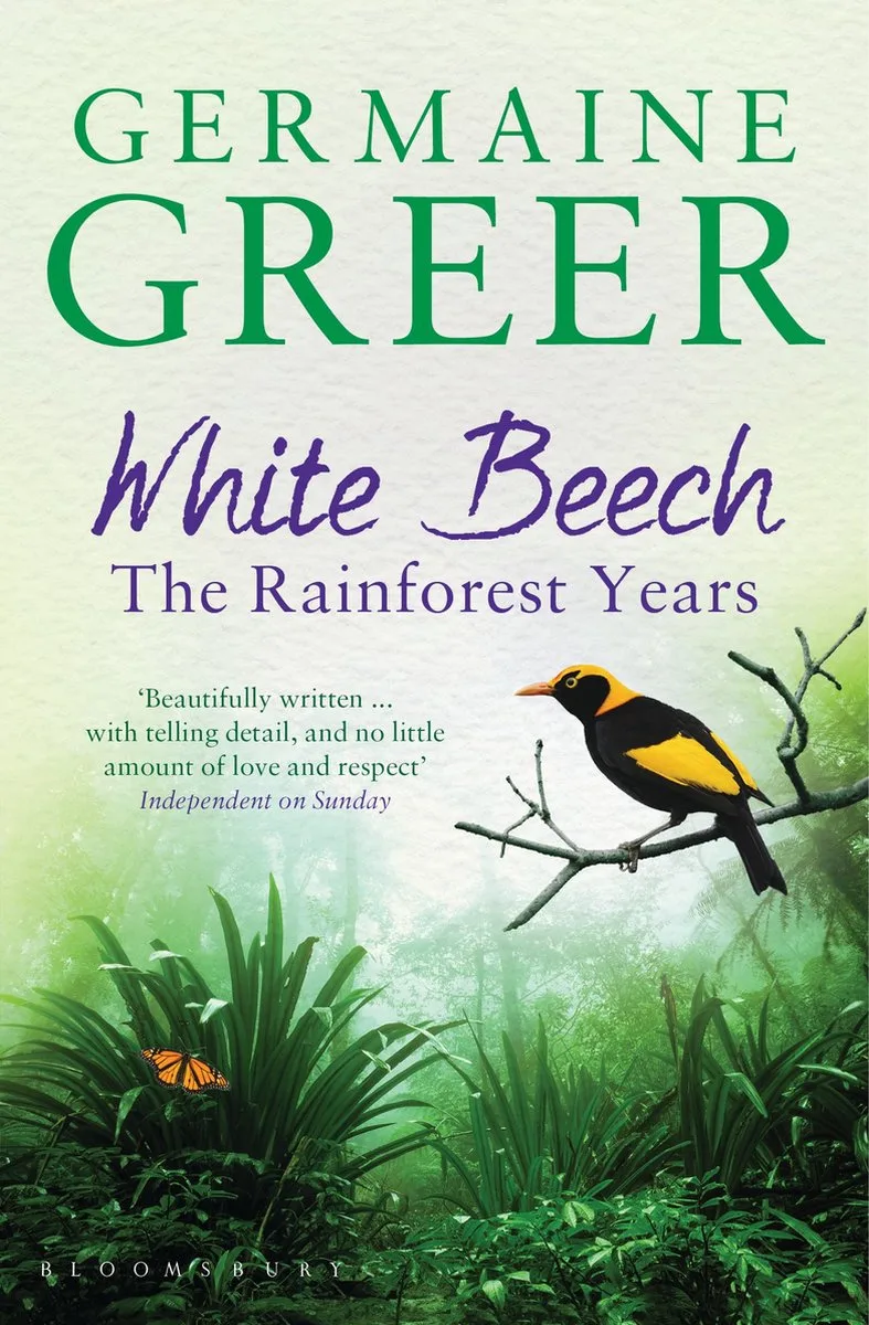 White Beech fra Bloomsbury – billede af bogen