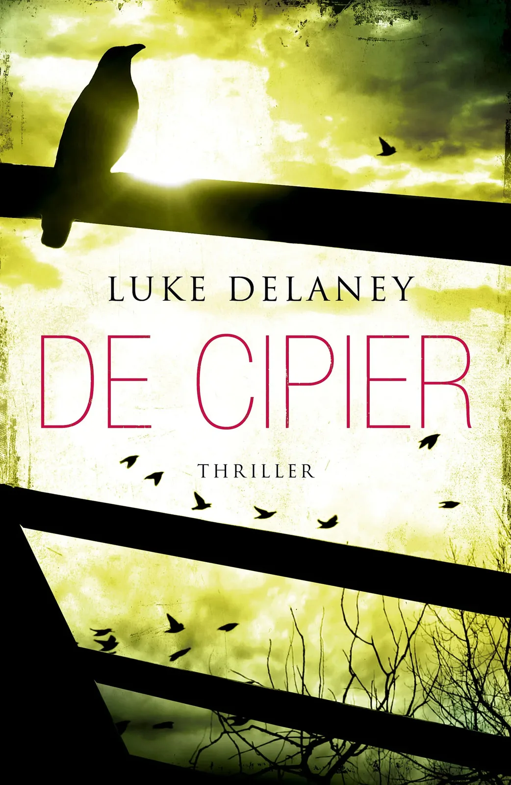 De cipier fra Boekerij – billede af bogen