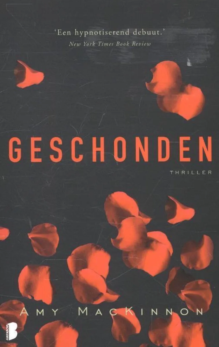Geschonden von Boekerij – Buchfoto