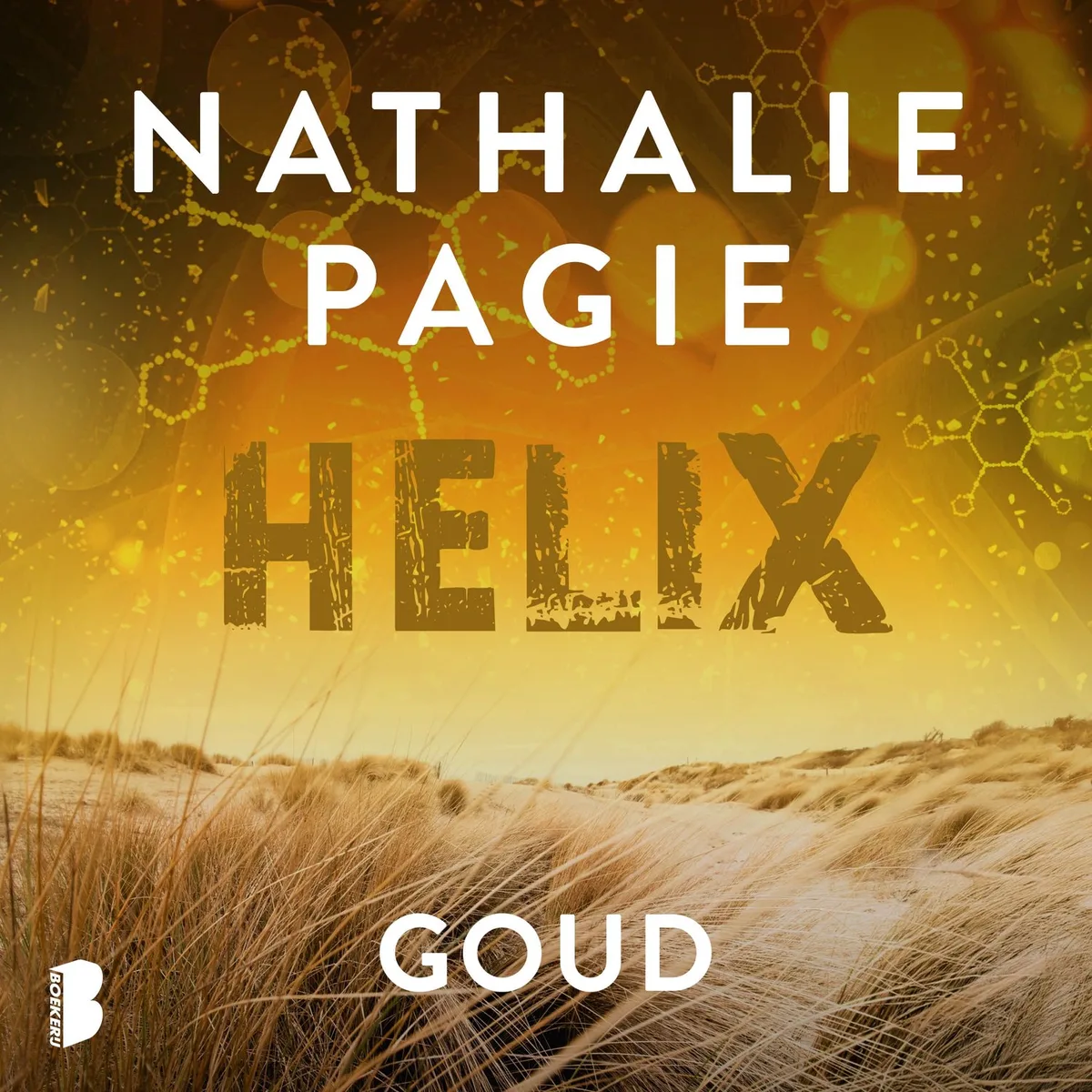 Goud fra Boekerij – billede af bogen