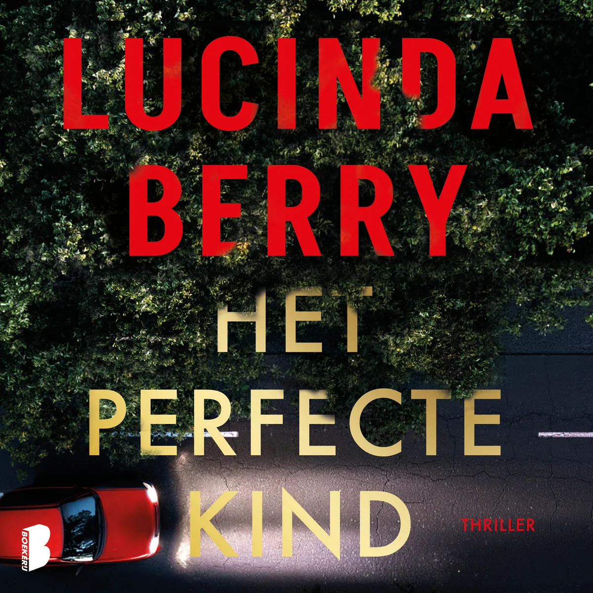 Het perfecte kind von Boekerij – Buchfoto