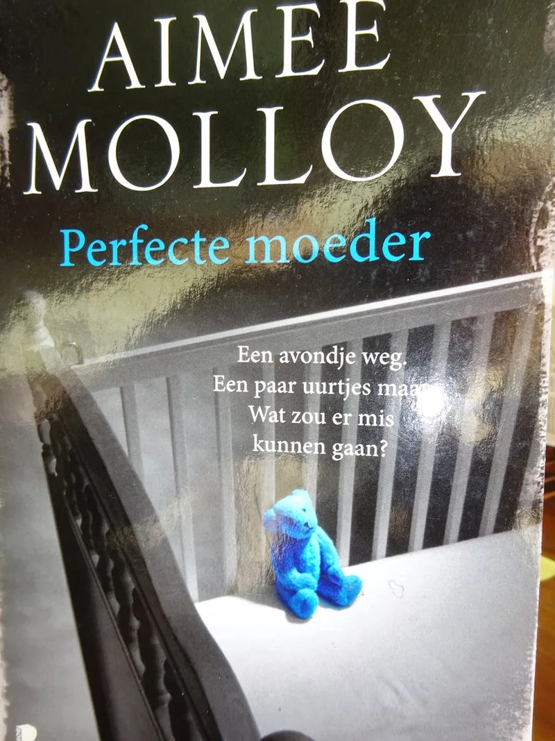 Perfecte moeder fra Boekerij – billede af bogen
