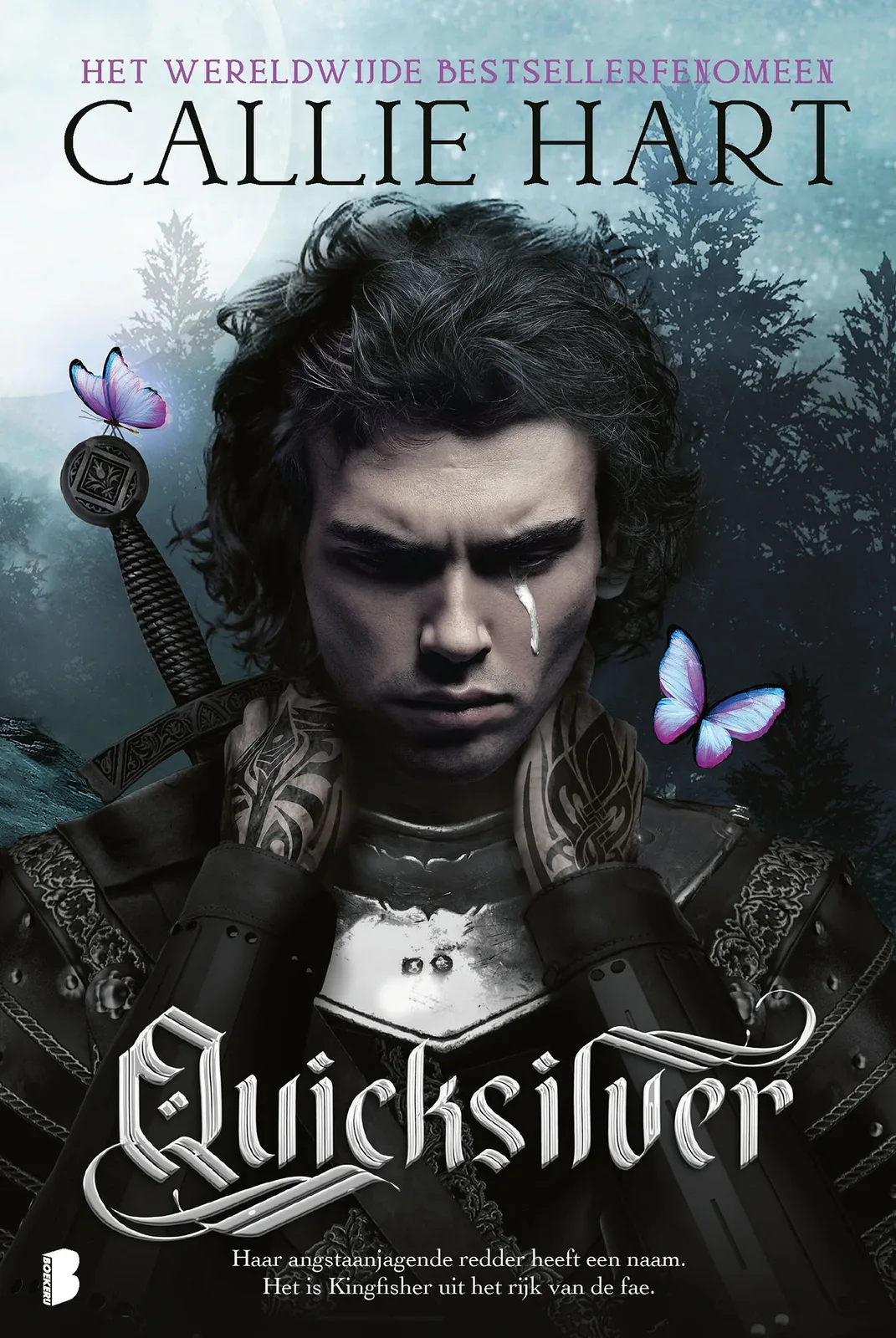 Quicksilver von Boekerij – Buchfoto