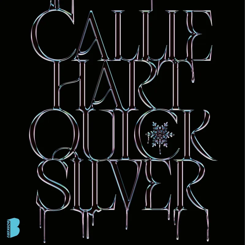 Quicksilver de Boekerij – photo du livre