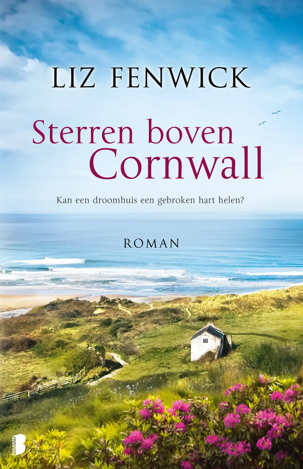 Sterren boven Cornwall von Boekerij – Buchfoto