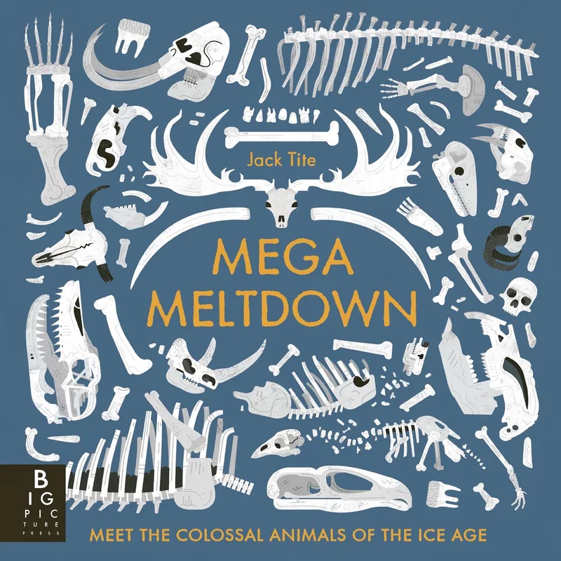 Mega Meltdown von Bonnier Books – Buchfoto