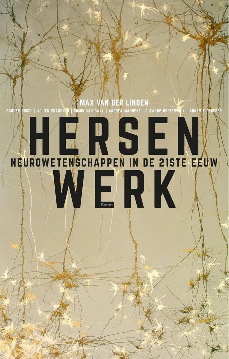 Hersenwerk von Boom – Buchfoto
