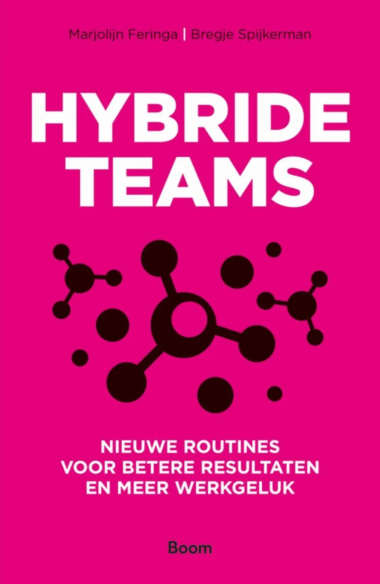 Hybride teams von Boom – Buchfoto