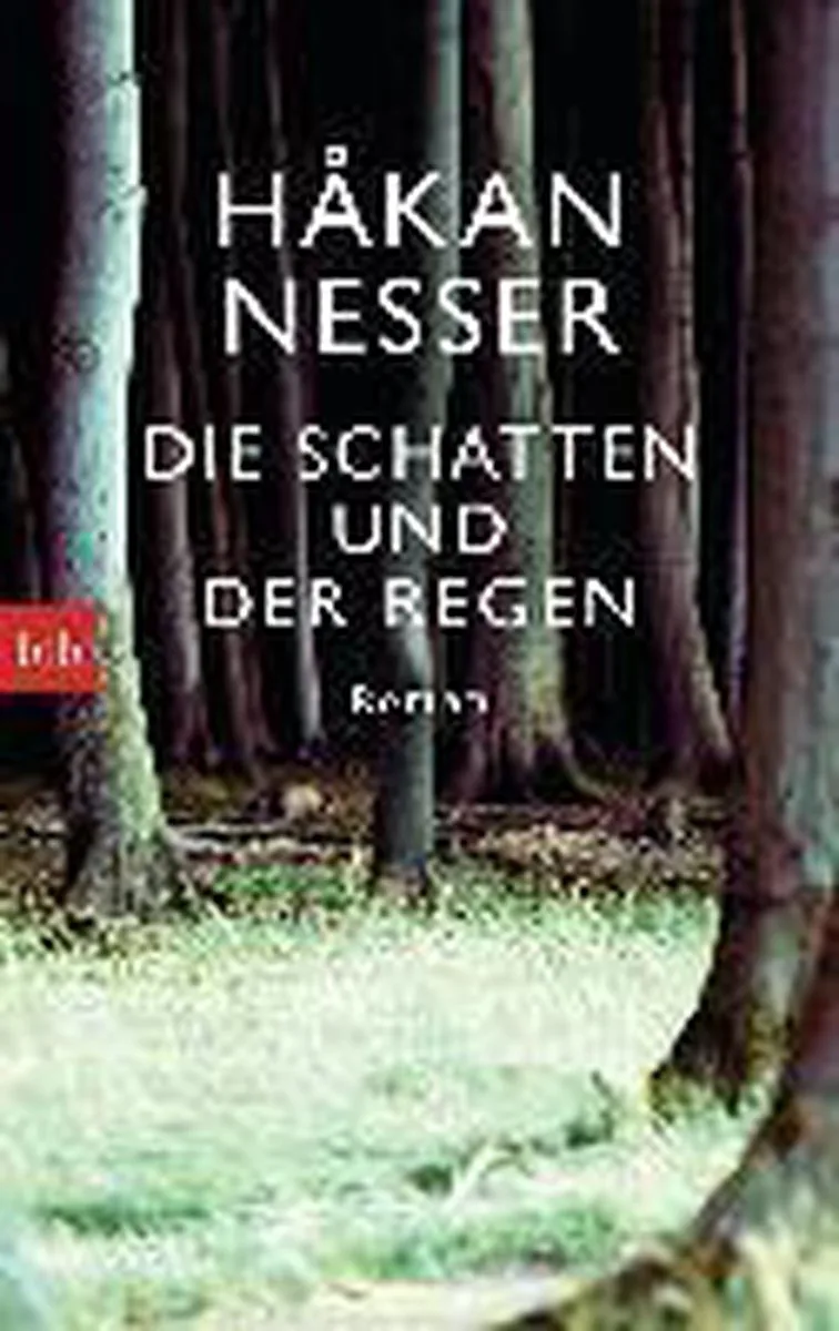 Die Schatten und der Regen von btb – Buchfoto