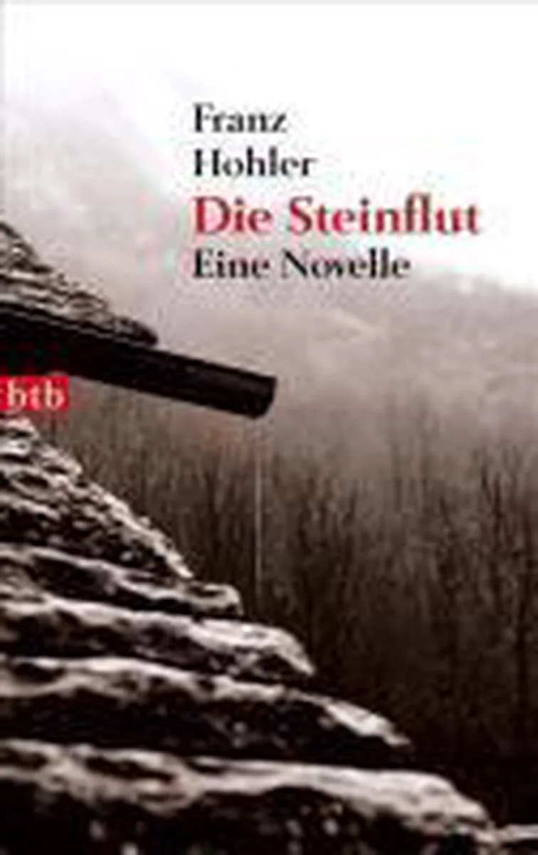 Die Steinflut van btb – boekfoto