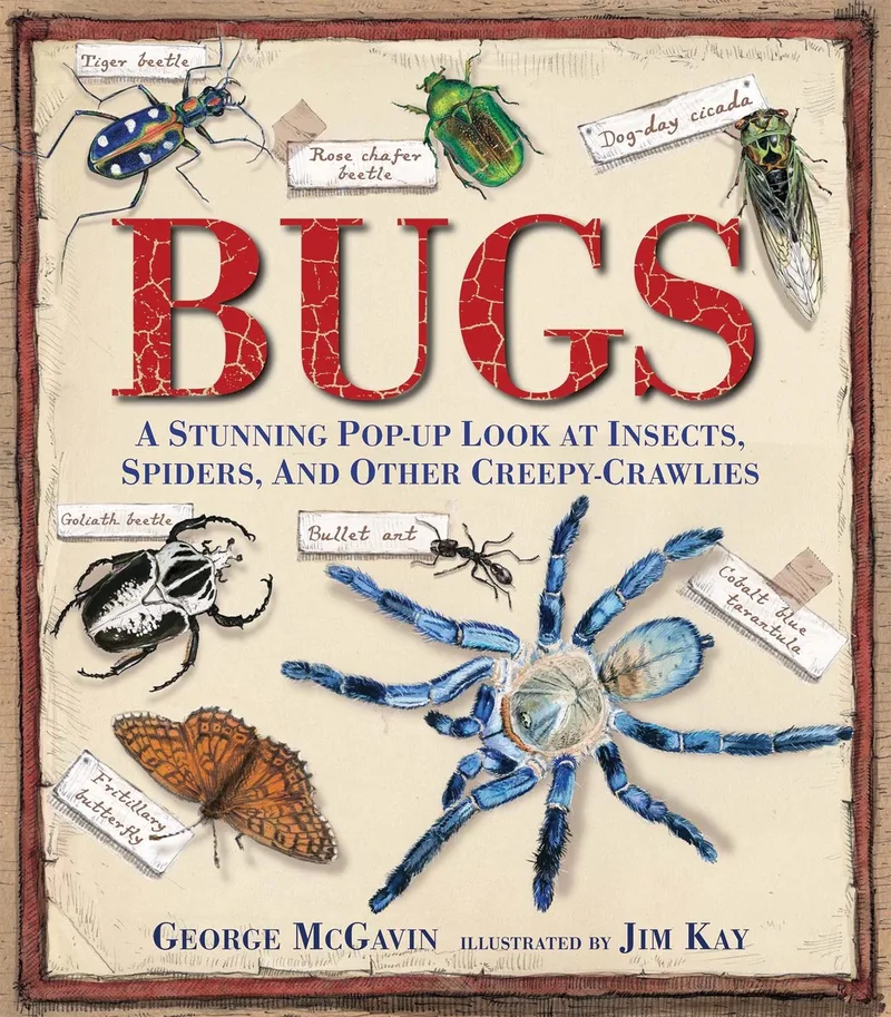 Bugs von Candlewick Press – Buchfoto