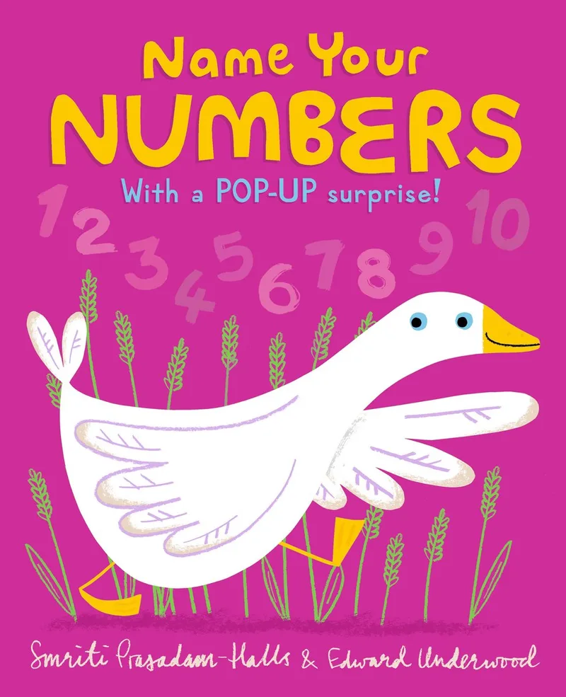 Name Your Numbers von Candlewick Press – Buchfoto