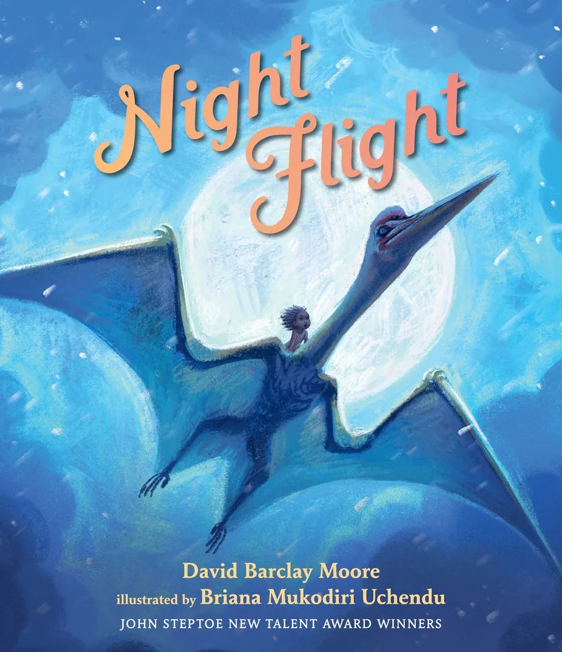 Night Flight fra Candlewick Press – billede af bogen